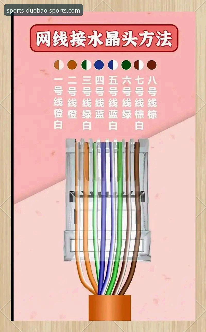 掌握最新多宝体育平台的实用技巧与必备知识